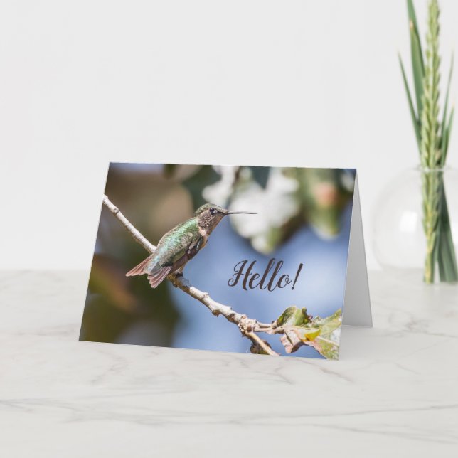 Hummingbird Fotografy Friendship Karte (Vorderseite)