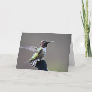 Hummingbird Framework Art Card Karte