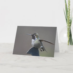 Hummingbird Framework Art Card Karte