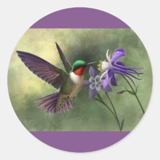 Hummingbird Fütternd auf einer Blume Runder Aufkleber