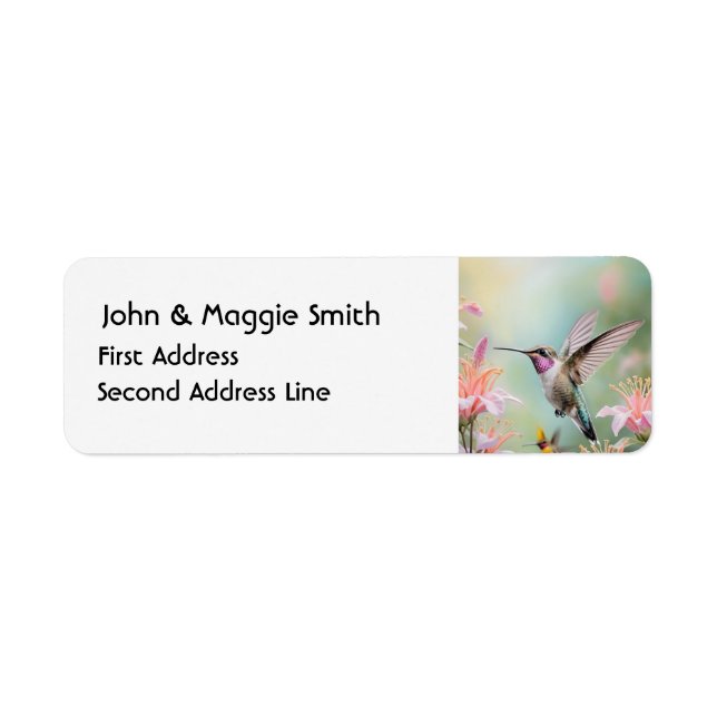 Hummingbird Garden Bird Wilhelm Tell (Vorne)