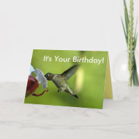 Hummingbird Geburtstag