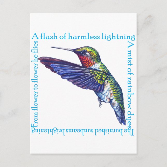 Hummingbird Gedicht Postkarte (Vorderseite)