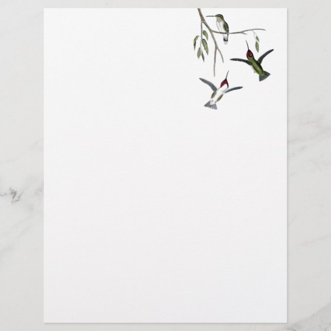 Hummingbird Gerecycelt Letterhead (Vorderseite)