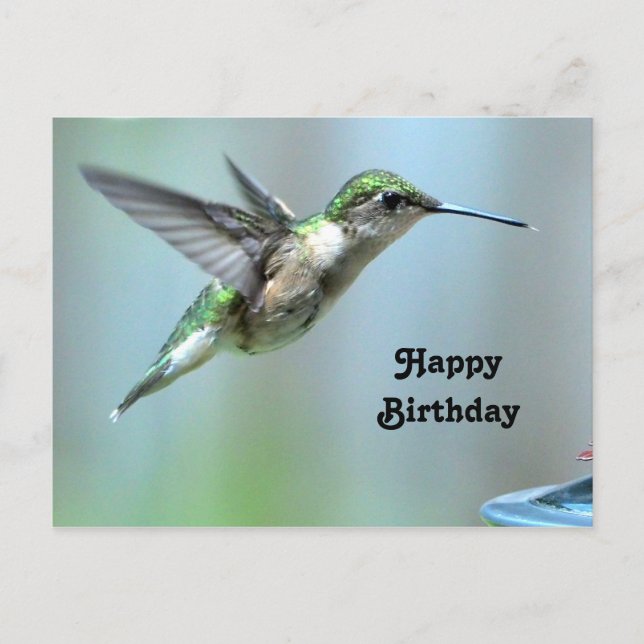 Hummingbird Green Flight Foto Wildlife Birthday Postkarte (Vorderseite)