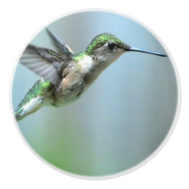 Hummingbird Green Flight Foto Wildlife Keramikknauf