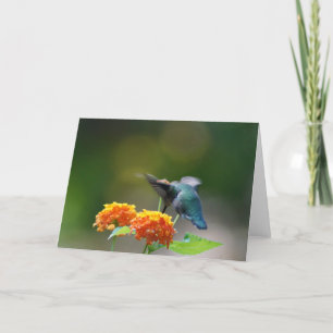 Hummingbird Gruß Karte