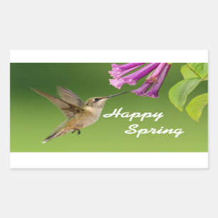 Hummingbird Happy Spring Rechteckiger Aufkleber