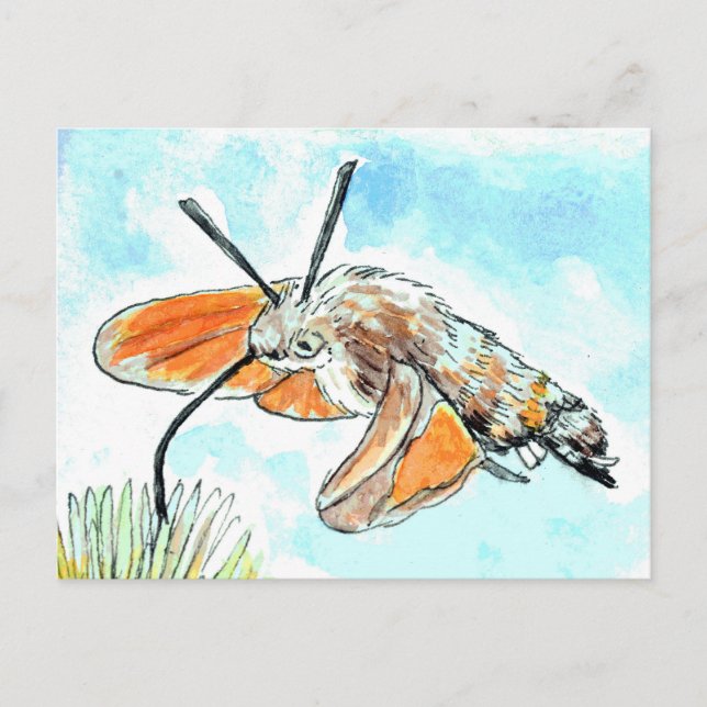 Hummingbird Hawk Moth Painting Postkarte (Vorderseite)