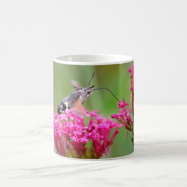 Hummingbird Hawk-Moth-Schmetterling im Flug Kaffeetasse (Mittel)