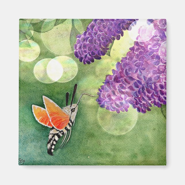 Hummingbird Hawk Moth und Lilacs Magnet (Vorne)