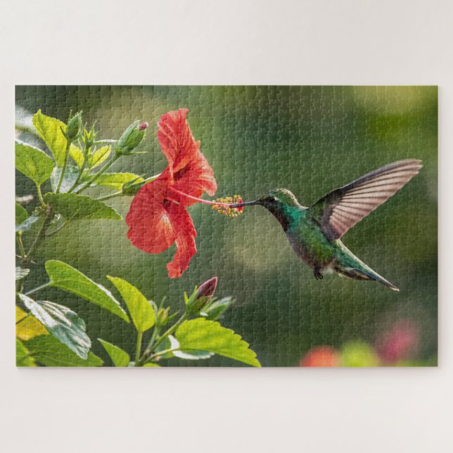 Hummingbird Hibiskus Puzzle - Vibrannte Tropic Art (Horizontal)