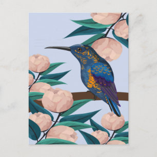 Hummingbird-Illustration Postkarte