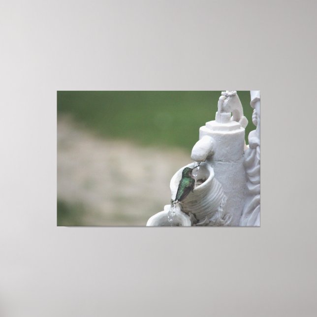 Hummingbird im Brunnen Leinwanddruck (Vorderseite)