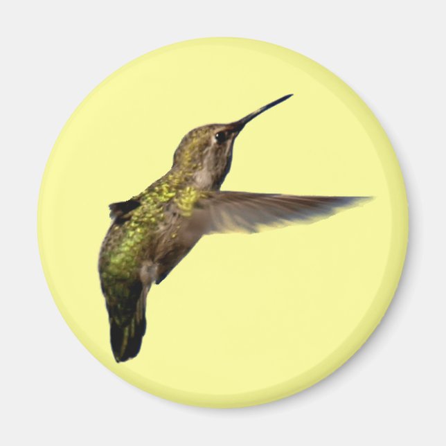 Hummingbird im Flight Round-Magnet Magnet (Vorne)