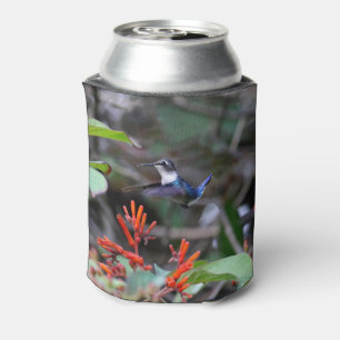 Hummingbird im Flight und in den Roten Blume Dosenkühler