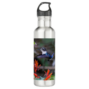 Hummingbird im Flight und in den Roten Blume Edelstahlflasche