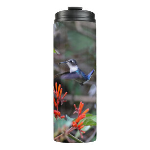 Hummingbird im Flight und in den Roten Blume Thermosbecher