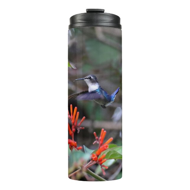 Hummingbird im Flight und in den Roten Blume Thermosbecher (Vorderseite)