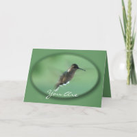 Hummingbird im Flug gr - passen Sie jede Gelegenhe