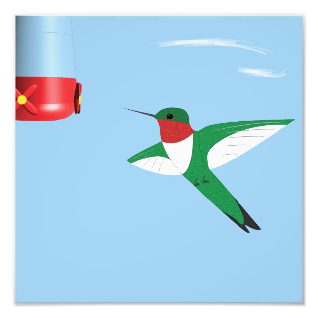 Hummingbird im Flugdruck Fotodruck (Vorne)