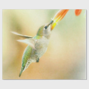Hummingbird im Frühmorgendlicht Geschenkpapier