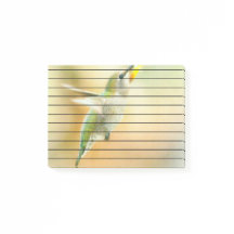 Hummingbird im Frühmorgendlicht