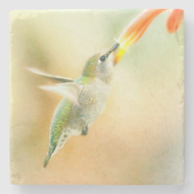 Hummingbird im Frühmorgendlicht Steinuntersetzer (Vorderseite)