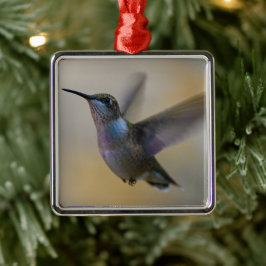 Hummingbird in Flutter Ornament Aus Metall