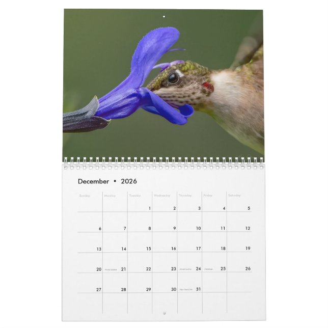 Hummingbird-Kalender mit einzigartigen Bildern Kalender (Dez 2026)