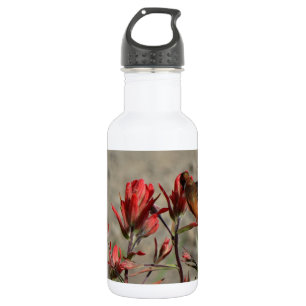 Hummingbird-Kardinal-Blume Trinkflasche