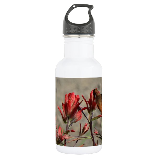 Hummingbird-Kardinal-Blume Trinkflasche (Vorderseite)