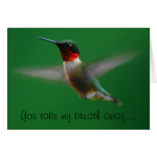 Hummingbird-Karte