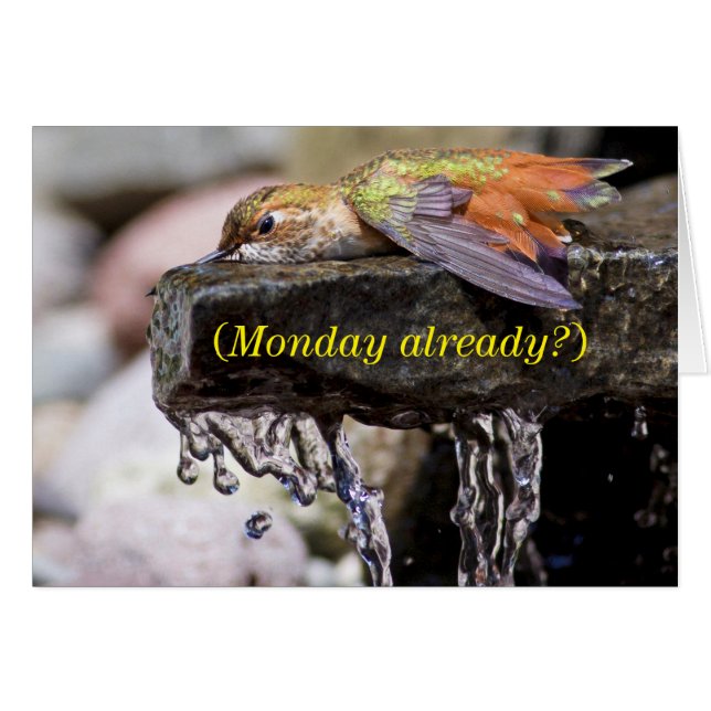 Hummingbird lehren im Wasser (Vorderseite (Horizontal))