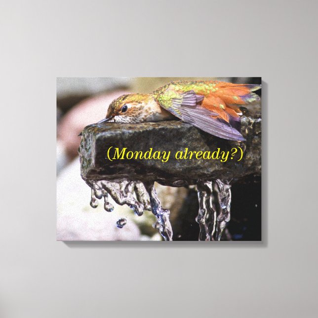 Hummingbird lehren im Wasser Leinwanddruck (Vorderseite)