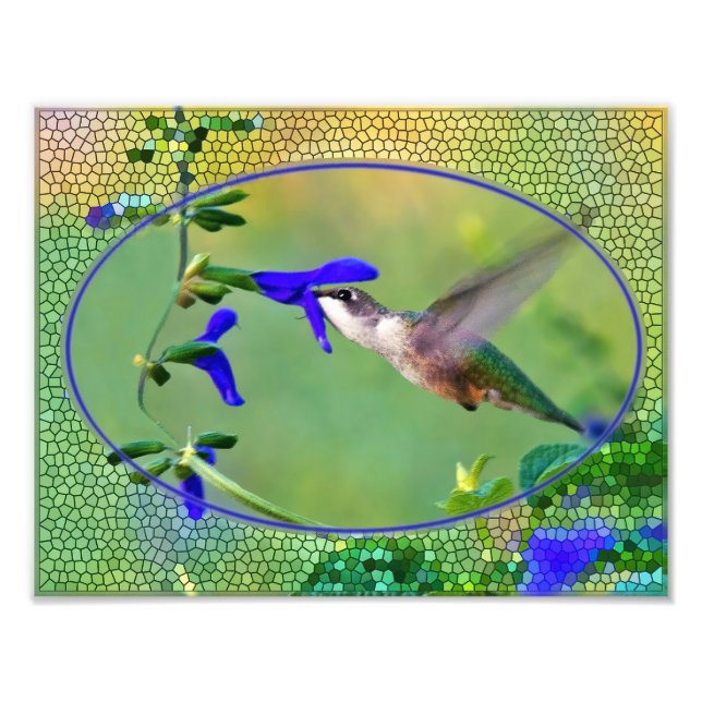 Hummingbird Lunch Illustration Fotodruck (Vorne)
