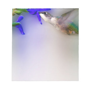 Hummingbird Lunch Notizblock