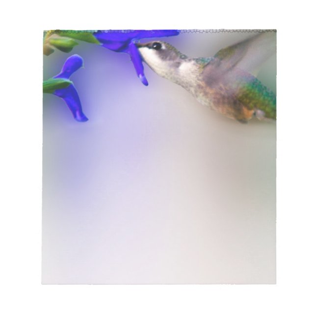 Hummingbird Lunch Notizblock (Vorderseite)