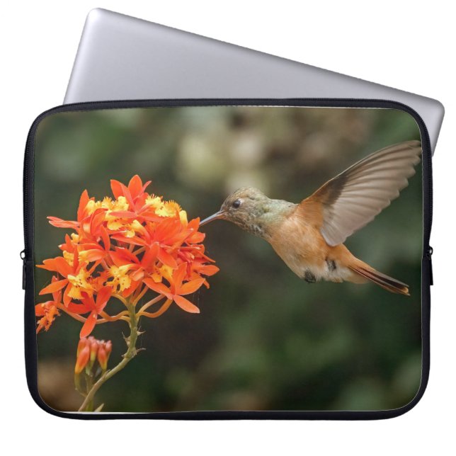 Hummingbird mit Blume-Elektronik-Tasche Laptopschutzhülle (Vorderseite)