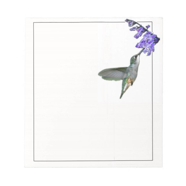 Hummingbird mit Mona Lavender Notizblock (Vorderseite)