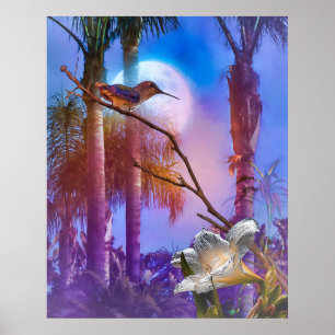 HUMMINGBIRD MOONLIGHT OASIS POSTER