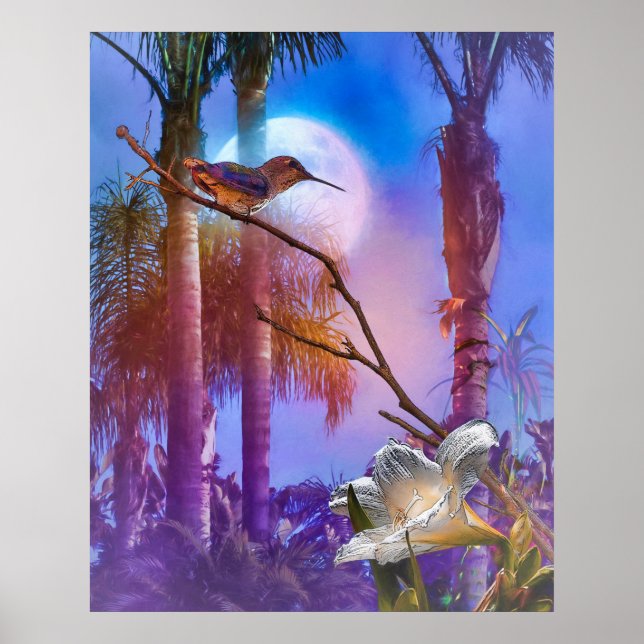 HUMMINGBIRD MOONLIGHT OASIS POSTER (Vorne)