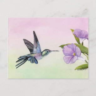 Hummingbird "Morning Gloriage" - Vogelgeschichte Postkarte