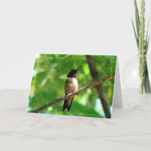 Hummingbird Morning Karte