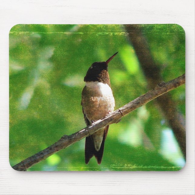 Hummingbird Morning Mousepad (Vorne)