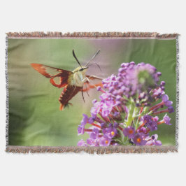 Hummingbird Moth on Butterfly Bush Decke