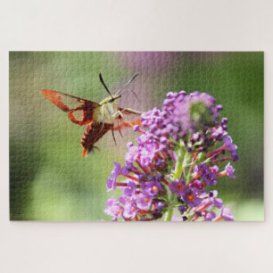 Hummingbird Moth on Butterfly Bush Puzzle