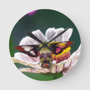 Hummingbird Moth Runde Wanduhr