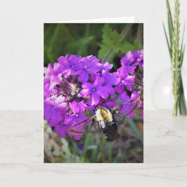 Hummingbird Moth & Verbena, Karte
