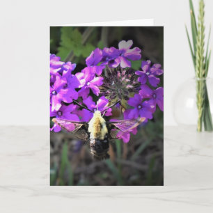 Hummingbird Moth & Verbena, Karte